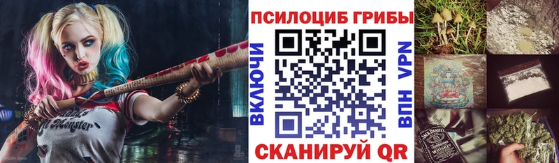 Псилоцибиновые грибы Psilocybe  Купить где  Яранск 