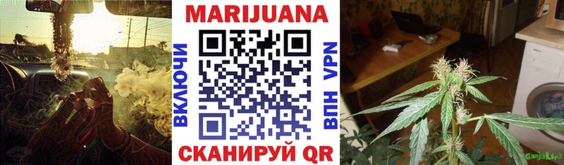 Купить  Яранск  Каннабис сатива 
